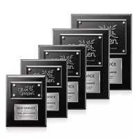 Gossamer Plaque - Black/Silver