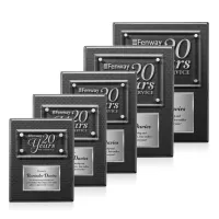 Gossamer Plaque - Carbon Fibre/Silver