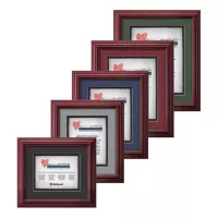 Darlington Award