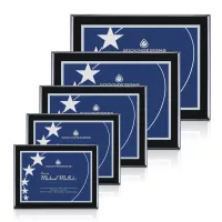 Oakleigh/Gemini - Black/Blue