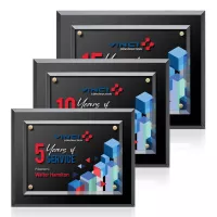 Lexicon VividPrint™ Plaque - Gold