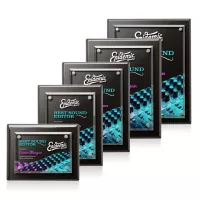 Caledon VividPrint™ Plaque - Black/Silver