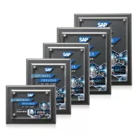 Caledon VividPrint™ Plaque - Carbon Fibre/Silver