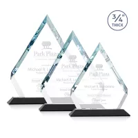 Apex Award - Black