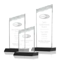 Oakwood Award - Black