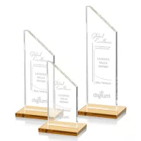 Dixon Award - Amber