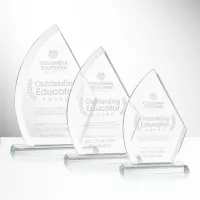 Ayrton Award
