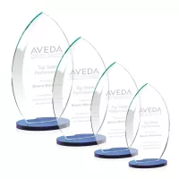 Windermere Award - Blue