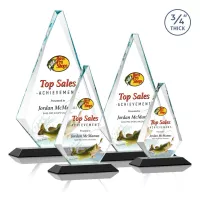 Windsor VividPrint™ Award - Black