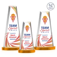 Imperial VividPrint™ Award on Alberton Base - Amber