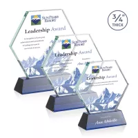 Pickering on Newhaven VividPrint™ Award - Blue