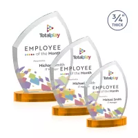 Daltry VividPrint™ Award on Alberton Base - Amber