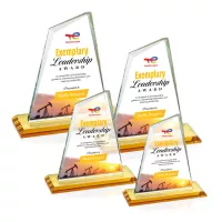Summit VividPrint™ Award - Amber