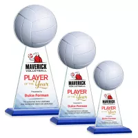 Edenwood Volleyball VividPrint™ Award - Blue
