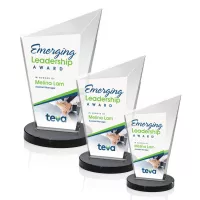 Wiltshire VividPrint™ Award - Black