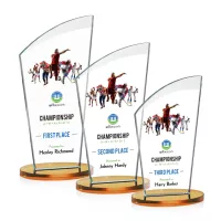 Tomkins VividPrint™ Award - Amber