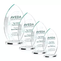 Windermere VividPrint™ Award - Clear