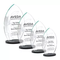 Windermere VividPrint™ Award - Black