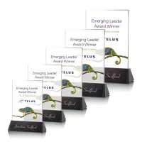 Sierra Rectangle VividPrint™ Award