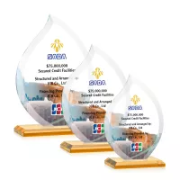 Nestor Flame VividPrint™ Award - Amber