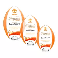 Lincoln VividPrint™ Award - Orange