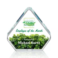 Gresham VividPrint™ Award
