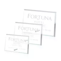 Windsor Rectangle Horizontal Award - Chrome