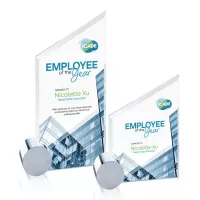 Cooper VividPrint™ Award - Starfire/Chrome Circle