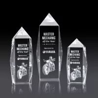 Bloomington Award 3D