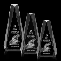 Carmel 3D Award - Clear