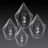 Devron 3D Award - Clear
