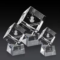 Burrill 3D Award on Robson Base - Clear