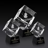 Burrill 3D Award on Robson Base - Black