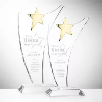 Atkinson Gold Star Award