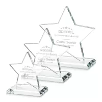 Sudbury Star Award - Starfire