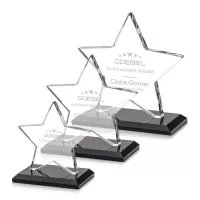 Sudbury Star Award - Black