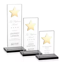 Dallas Star Award - Black/Gold