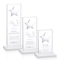 Dallas Star Award - White/Silver