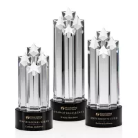 Ascot Star Award - Black