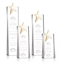Fanshaw Gold Star Award