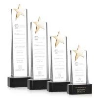 Fanshaw Gold Star Award on Base - Black