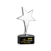 Tuscany Chrome Star VividPrint™ Award on Paragon Base-Black