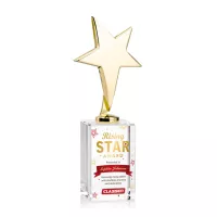 Tuscany Gold Star VividPrint™ Award on Lexington Base-Clear
