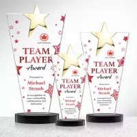 Mantella Gold Star VividPrint™ Award - Black