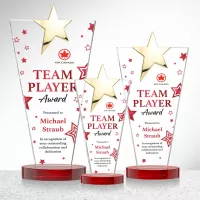 Mantella Gold Star VividPrint™ Award - Red