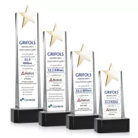 Fanshaw Gold Star VividPrint™ Award on Base - Black