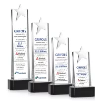 Fanshaw Silver Star VividPrint™ Award On Base - Black