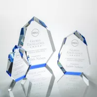 Norwood Award - Blue