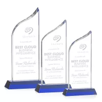 Pollock Award - Blue