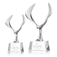 Maverick Eagle Award on Robson Base - Clear